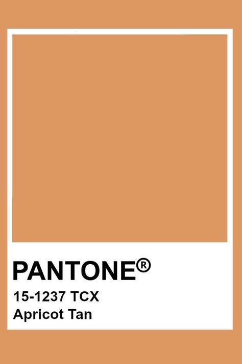 Tan Pantone Color, Deep Apricot Color, Orange Pantone Colour Palettes, Apricot Pantone, Tan Pantone, Pantone Brown, Orange Pantone, Apricot Colour, Pantone Orange