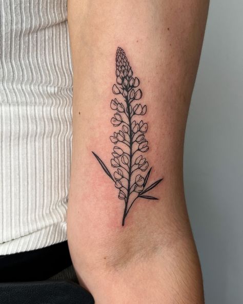 Lupine flower for Kate’s first! Always such an honour to work with someone for their first tattoo - thank you for your trust 🖤 . #torontotattoo #femaletattooartist #floraltattoo #cutetattoo #finelinetattoo Lupine Flower Tattoo, Plant Tattoo Fine Line, Lupin Tattoo, Lupine Flowers Tattoo, Lupine Tattoo, Fern Tattoo, Lupine Flowers, Pine Tree Tattoo, Female Tattoo Artists