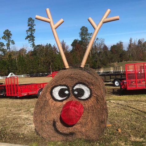 Hay bale 'critters' at Anderson's lift the spirits of local residents - Statesboro Herald Reindeer Hay Bale, Christmas Hay Bales, Hay Bale Decorations, Farm Christmas, Farm Day, Black Halloween Dress, Hay Bales, Brings Joy, Country Store