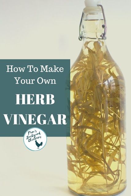 Herb Vinegar, Herbal Vinegar, Hair Mask For Dry Hair, Mask For Dry Hair, Flavored Vinegars, Infused Vinegars, Kitchen Gardening, Diy Hair Mask For Dry Hair, Herbs Garden