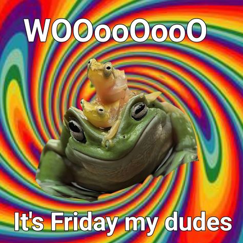 Frog Days Of The Week Meme, Its Friday My Dudes Frog, It Is Thursday My Dudes Frog, Friday Frog, Frog Meme, Response Memes, Frog Pictures, Cute Reptiles, Funny Pix