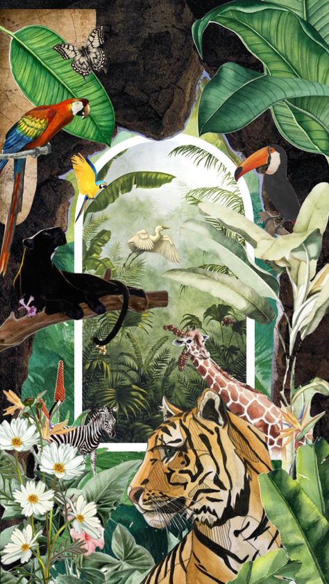 welcome to the jungle #jungle #explorer #wildlife #cave #tiger #giraffe #panther #tucan #fyp Jungle Explorer, Welcome To The Jungle, Your Aesthetic, Panther, Energy