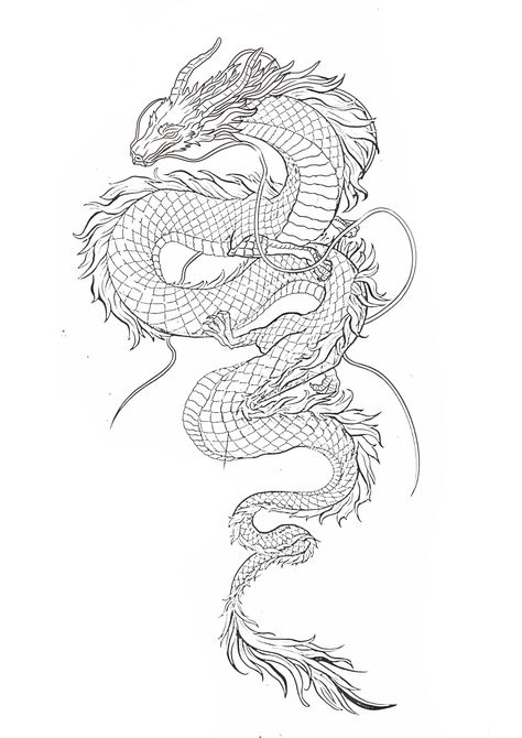 Dragon Shin Tattoo, Dragon Stencil Tattoo, Dragon And Snake Tattoo, Dragon Line Art, Dragon Stencil, Dragon Tattoo Outline, Dragon Outline, Dragon Tattoo Stencil, Dragon Tattoo Sketch