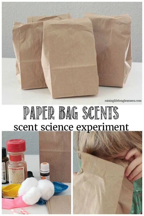 Scent Activities For Preschool, Guess The Smell Preschool, Science Language Activities, 5 Senses Mystery Boxes, Special Ed Science Experiments, See Sense Activities Preschool, Five Senses Halloween Activities, Smell Science Experiment, Sense Of Smell Activities Kindergarten