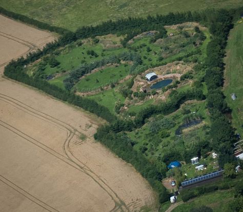 Property Layout, Ecology Projects, Forest Gardens, Permaculture Design Course, Urban Chickens, Farm Layout, Chicken Garden, Permaculture Gardening, Permaculture Design