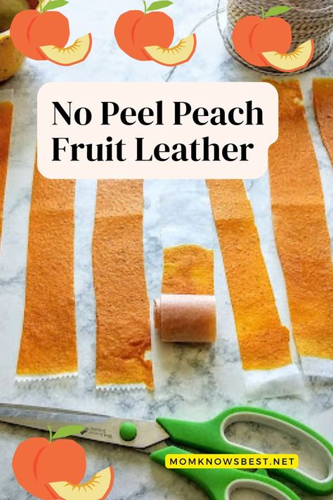 Peach Leather Recipe Dehydrator, Peach Leather Recipe, Peach Fruit Leather Recipe, Fruit Roll Ups Homemade, Fruit Leather Dehydrator, Homemade Fruit Leather, Fruit Leather Recipe, Fruit Pouches, How To Peel Peaches