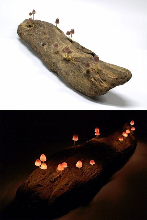 Awesome DIY Wood Forest Mushroom Lamps  #DIY #Handmade #Mushroom #Recycled #Steampunk #Tutorial #Wood                 The Japanese artist Yukio Takano is obsessive about mushrooms. Member of the group The Great Mushrooming, who worships... Diy Mushroom, Glowing Mushrooms, Mushroom Lights, Forest Wood, Led Light Design, Deco Nature, Deco Originale, Deco Luminaire, Mushroom Lamp