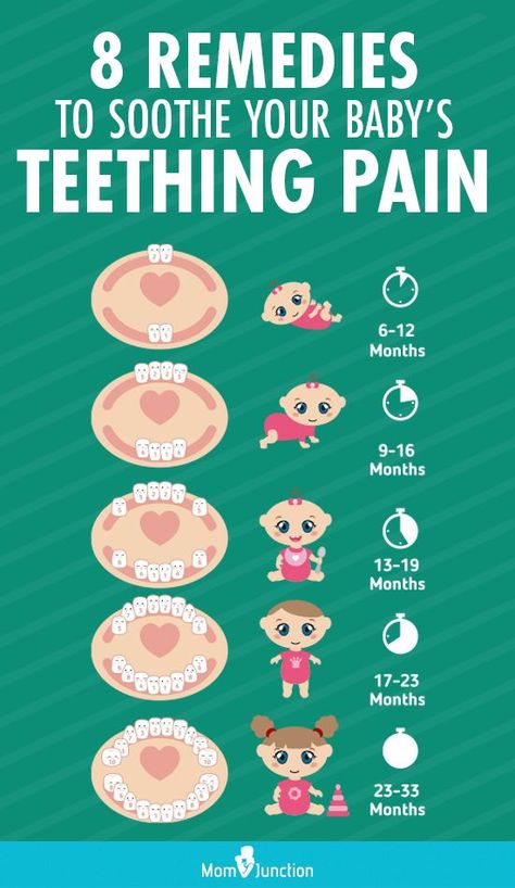 Baby Tooth Chart, Teething Chart, Baby Development Activities, Baby Information, Baby Life Hacks, Baby Facts, Baby Teething, Baby Smiles, Mom Junction