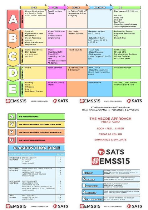 ABCDE chart Abcde Nursing Assessment, Antibiotics Chart, Assessment For Learning Strategies, Kindergarten Readiness Assessment, Newborn Assessment, Letter Assessment, Kindergarten Math Assessment, Neurological Assessment, Phonics Assessments