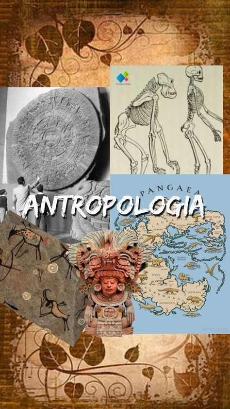 Anthropology Collage, Thanatology Aesthetic, Anthropology Major Aesthetic, Cultural Anthropology Aesthetic, Forensic Anthropology Aesthetic, Anthropology Wallpaper, Anthropologist Aesthetic, Archaeologist Aesthetic, Compass For Drawing Circles