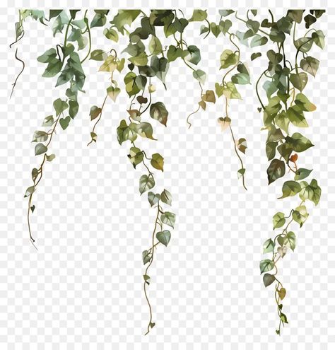 plant vines - Google Search Under Bust Tattoo, Ruler Tattoo, Jungle Vines, Plant Vines, Vines Design, Vine Tattoo, Flower Vines, Tattoo Thoughts, Rainbow House