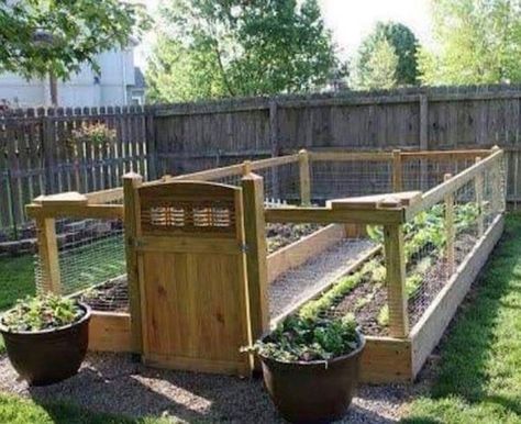 How to build a RAISED AND ENCLOSED GARDEN BED. Step by step instructions with a video