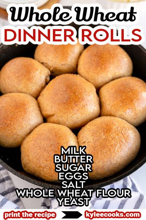 Quick and easy to make, these deliciously soft and fluffy Whole Wheat Rolls make the perfect amount for your family! They make a hearty side to any meal. Whole Wheat Dinner Rolls, Wheat Dinner Rolls, Wheat Rolls, Homemade Yeast Rolls, Whole Wheat Rolls, Yeast Rolls Recipe, Batch Baking, Baked Breads, Small Batch Baking