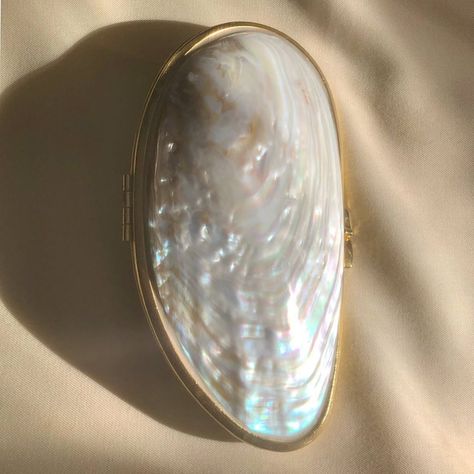 Lucia Zolea on Instagram: “Mother of Pearl Clutch ❤️” Pearl Clutch, Pearl Bag, Indian Designer Outfits, Aesthetic Themes, Textiles Fashion, Aphrodite, Mother Of Pearl, Summer Time, Aesthetic Pictures