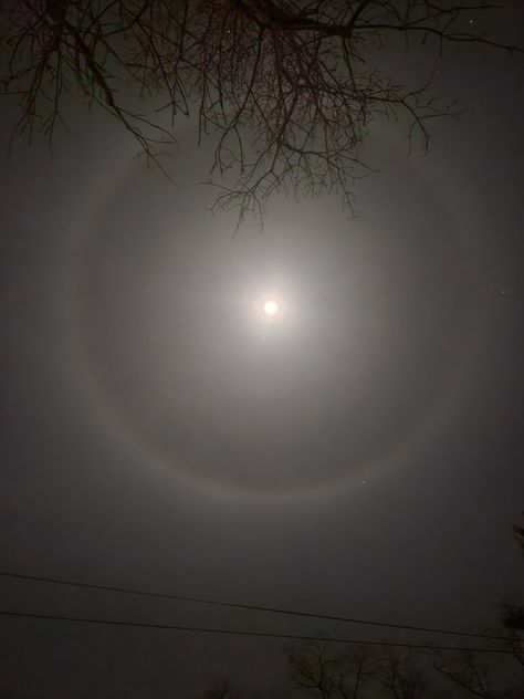 A moon halo! Moon Halo, Lunar Moon, Nature Pics, Ice Crystals, Art Diary, Nature Pictures, The Moon, Halo, Moon