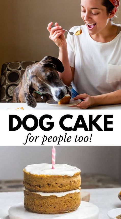 This easy Pumpkin Dog Cake is the best way to celebrate your pup's special day, and the best part is that it's people-friendly too! That's right -- make this cake for your dog and you both can enjoy it (and I promise it's delicious!). Pumpkin Dog Cake, Dog Birthday Cake Easy, Dog Cake Recipe Pumpkin, Birthday Cake Easy, Dog Friendly Cake, Dog Birthday Cake Recipe, Egg Free Cakes, Dog Cake Recipes, Dog's Birthday