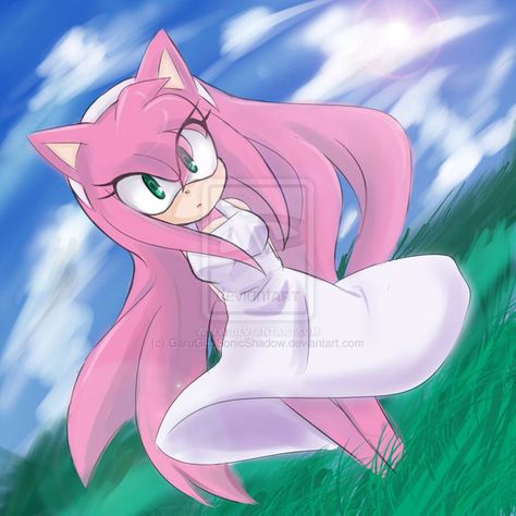 A very pretty picture of Amy- She looks about 15 or so. Shadow And Maria, Shadow And Amy, Amy The Hedgehog, Sonic Heroes, Sonic And Amy, Sonic Fan Characters, Hedgehog Art, Rose Pictures, Sonic And Shadow