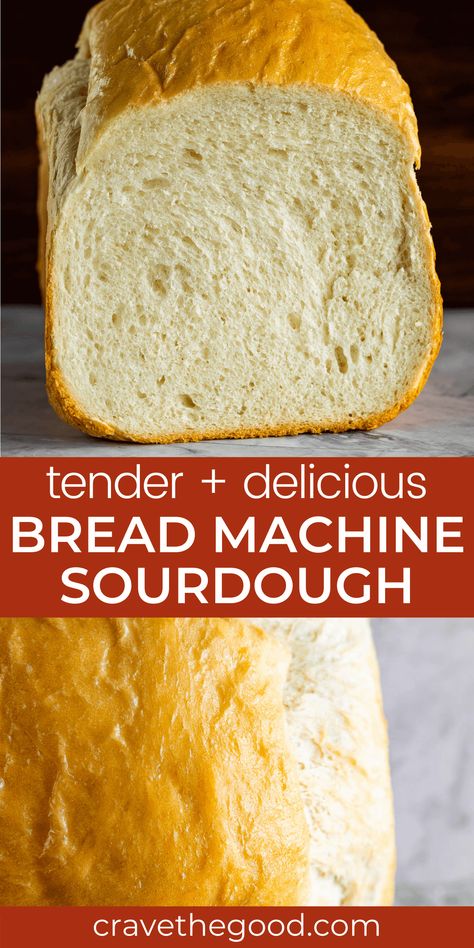 Sour Dough Bread Machine Recipe, Bread Machine Sourdough, Sourdough Bread Machine, Bread Machine Recipes Healthy, Bread Machine Recipes Sweet, Bread Style, Easy Bread Machine Recipes, Recipe Using Sourdough Starter, Best Bread Machine