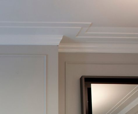 Flat Crown Molding, Modern Crown Molding, Crown Molding Styles, Molding Detail, Transitional Exterior, Historic Renovation, Ceiling Detail, Transitional Living, Transitional Living Rooms