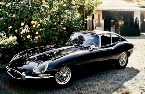 Jaguar Type E, Jaguar Type, Auto Vintage, Jaguar (cars), Jaguar Land Rover, Cars Vintage, Jaguar Car, Jaguar E, Jaguar E Type