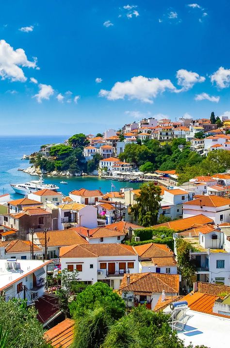 Skiathos Island, Skiathos Greece, Greece Landscape, Greece Culture, Best Island Vacation, Villa Apartment, Greece Beach, House Villa, The Balkans