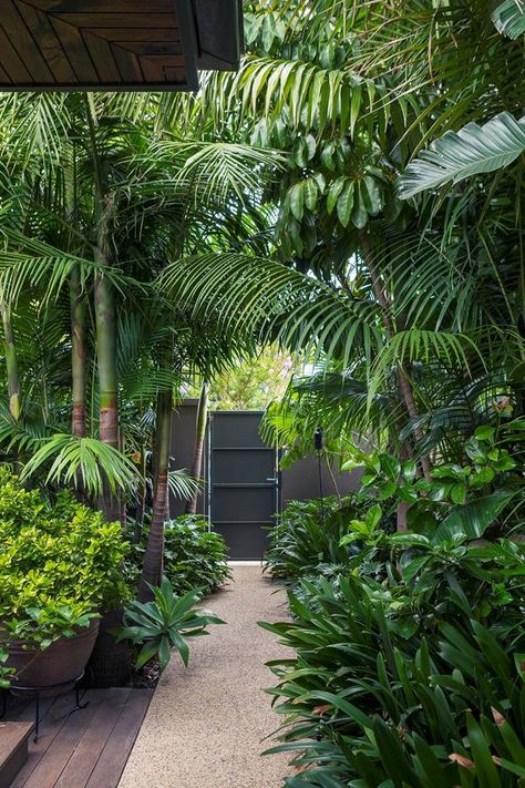 Tree Garden Design, Palm Trees Garden, Tropical Landscape Design, Lots Of Plants, Tropical Garden Design, Tropical Backyard, Garden Deco, Garden Landscape Design, Tropical Landscaping