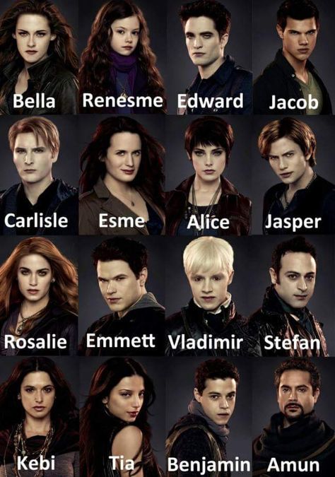 Twilight Dolls, Twilight Characters, Twilight Saga Quotes, Twilight Jokes, Vampire Twilight, Twilight Quotes, Twilight Saga Series, Twilight Funny, Twilight Cast