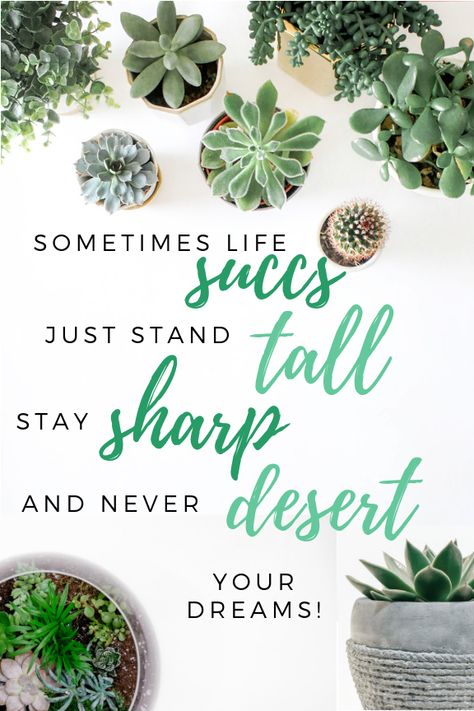 Succulent pun inspiration quote Succulent Puns, Cactus Quotes, Plant Quotes, Succulent Photography, Plant Puns, Succulent Wedding Favors, Plants Quotes, Succulent Bouquet, Succulent Garden Diy