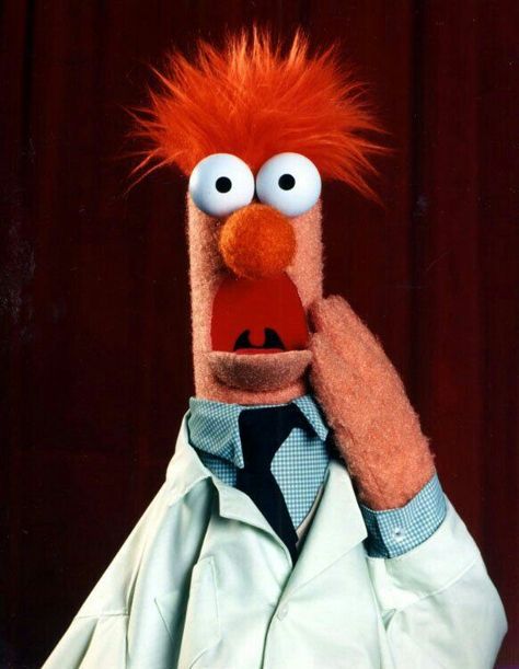 BEAKER Beaker Muppets, Muppets Characters, Beto Y Enrique, Ernie Und Bert, Animal Pfp, Sesame Street Muppets, Fraggle Rock, The Puppet, The Muppet Show