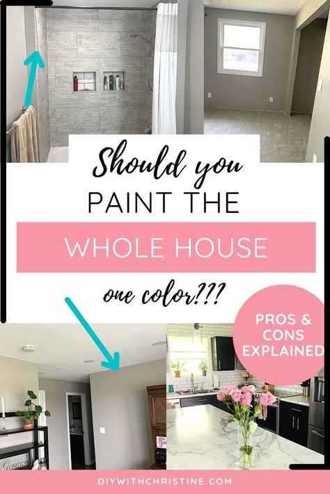 Should You Paint Your Whole House The Same Color, One Paint Color For Whole House, Painting Whole House One Color, Paint Whole House One Color, Whole Home Paint Scheme, House Colors Inside, Choosing Paint Colours, Paint Your House, Choosing Paint