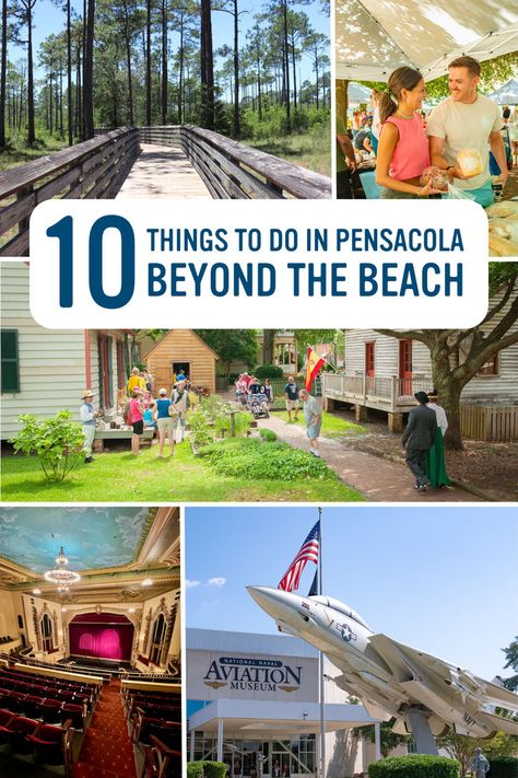 You can find a host of things to do once you leave the beach in Pensacola. It’s these activities and attractions that allow visitors to learn, play and experience local culture in a way that you might not find in other beach communities. Here are 10 of the most popular ways to explore Pensacola away from the beach. Pensacola Florida Things To Do In, Things To Do In Pensacola Florida, Pensacola Florida, Pensacola Beach, Pack Up, Gulf Coast, Beach Chairs, Be Afraid, Road Trip