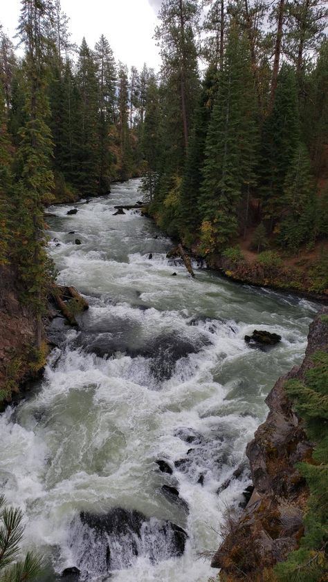 Ren Core, Dark Greenery, Oregon Aesthetic, Deschutes River, Gods Art, Dark Naturalism, Scenic Places, Hiking Aesthetic, Eugene Oregon