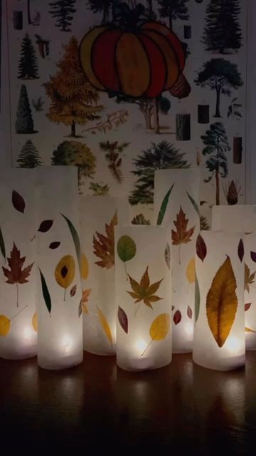 Tara Rondinelli on Instagram: "•Super Simple Leaf Lanterns• We LOVE making these fall lanterns because they are so easy to create, look beautiful, and the leaf colors stay vibrant all year long! Give these a try if you are looking for a way to give your home a warm glow! ✨ You won’t be disappointed and will probably have a large collection soon enough. #falllantern #fallactivitiesforkids #fallleaves #autumnleaves #autumn #fallcrafts #fallcraftsforkids #naturecrafts #naturecraftsforkids #cottag Wax Paper Crafts, Leaf Lantern, Fall Lanterns, Autumn Leaves Craft, Fall Lantern, Leaf Projects, Paper Lanterns Diy, Fun Fall Crafts, Simple Leaf