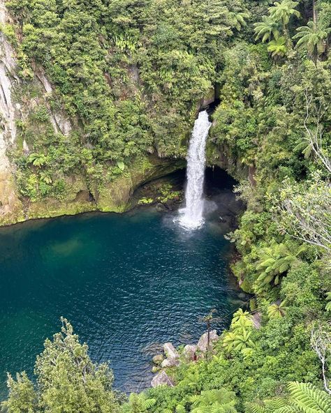 Omanawa Falls, Bay of Plenty. www.greatnorthtours.co.nz Click the link in bio #omanawafalls #northislandnz #bayofplenty #bayofplentynz #travelnewzealand #waterfallsnz Bay Of Plenty, Summer 24, Click The Link, Link In Bio, New Zealand, On Instagram, Quick Saves, Instagram