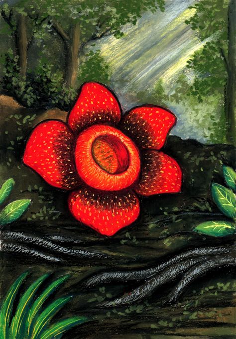 Rafflesia Flower, Two Rabbits, Illustration Animals, Fish Farm, School Art Activities, A Goat, Plant Drawing, Bird Drawings, Flowers Plants