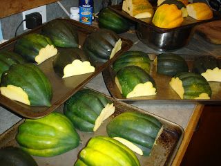 Different Squash Types, Canned Squash, Clean Meal Prep, Acorn Squash Recipes, Canning Vegetables, Baked Veggies, Good Roasts, Frozen Veggies, Dehydrated Food