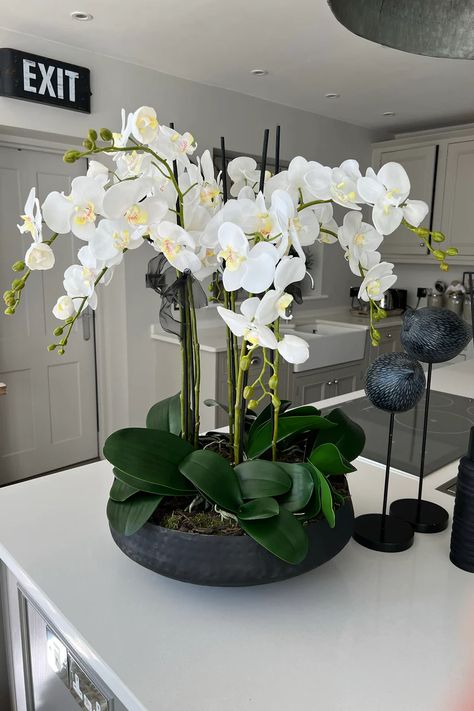 Phalaenopsis Orchid Arrangement, White Orchid Centerpiece, Dining Console, Diy Orchids, Fake Flowers Decor, Orchid Cake, Orchid Flower Arrangements, Indoor Plants Styling, Entrance Halls