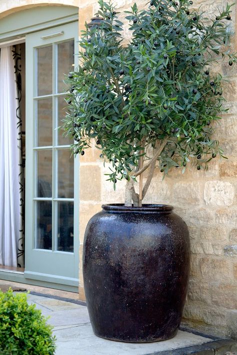 Search: 9 results found for "planters*" – Cotswold Grey Large Garden Pots, Large Garden Planters, Front Door Planters, Big Planters, Large Outdoor Planters, Door Planter, Large Plant Pots, Rustic Planters, Patio Pots