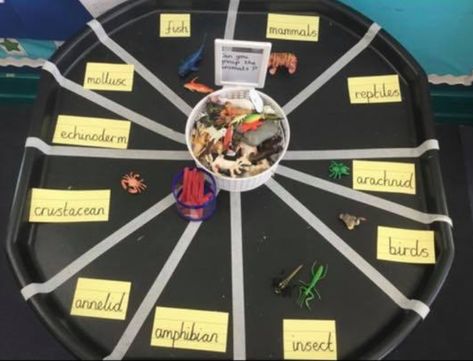 Year 1 Continuous Provision Seasons, Ks2 Tuff Tray, Year 2 Continuous Provision Writing, Year 1 Continuous Provision Challenges, Science Continuous Provision Year 1, Autumn Continuous Provision, Ks1 Continuous Provision Classroom, Y1 Continuous Provision, Continuous Provision Ks2