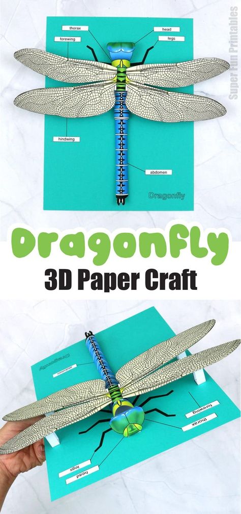 A realistic dragonfly made from paper Dragonfly Art Projects For Kids, Dragonfly Model School Project, 3d Bugs Crafts, Dragonfly Art Project, 3d Dragonfly Craft, Insect School Project, Dragonfly Art For Kids, 3d Insects Craft, Bug Art Projects