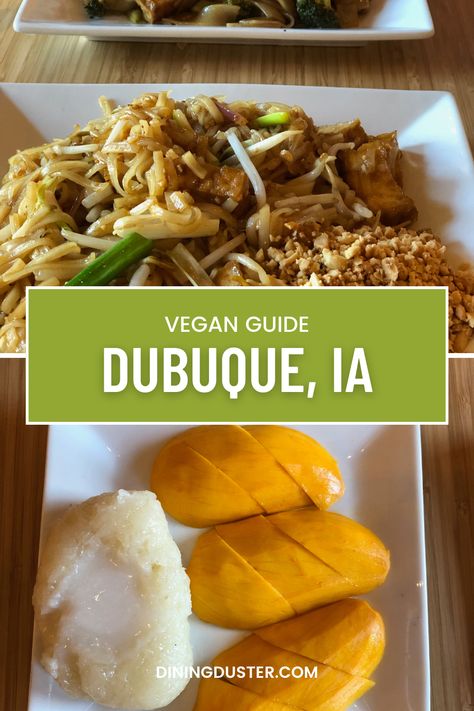 Dubuque, IA has delicious vegan food options. If you're on a Midwest Road Trip, perhaps driving on the Great River Road of the Mississippi, make sure to check out these great vegan options in Dubuque. Delicious Vegan Food, Great River Road, Midwest Road Trip, Chicken Of The Woods, Dubuque Iowa, Sweet Potato Pancakes, Vegan Guide, Take Out Containers, Great River