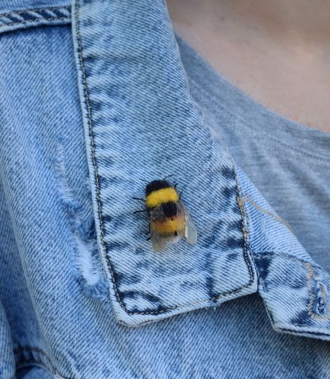 Realistic Bumblebee Gor Garden Felted Bee Brooch Gift for - Etsy Decor For Photoshoot, Felt Bees, Felted Bee, Sister Crafts, Gift For Gardener, Diy Vetement, Bee Brooch, Aesthetic Iphone, Cute Pins