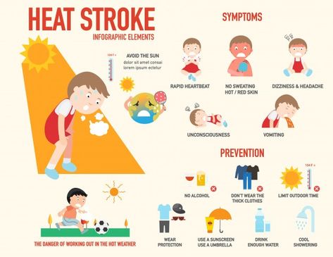 Heat stroke risk sign and symptom and pr... | Premium Vector #Freepik #vector #infographic #water #icon #children Emt Basic, Types Of Strokes, School Nurse Office, Loss Of Balance, School Nursing, Adobe Illustrator Design, Animals Food, Infographic Poster, Nurse Office