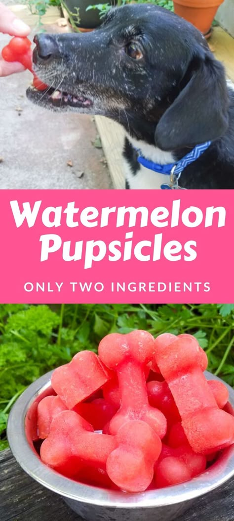 Watermelon Puppy Popsicles, Watermelon Yogurt Dog Treats, Diy Frozen Dog Treats Ice Cubes, Diy Dog Popsicle Recipes, Watermelon Popsicles For Dogs, Dog Friendly Popsicles, Popsicle For Dogs, Teething Puppy Treats, Popsicle Recipes For Dogs