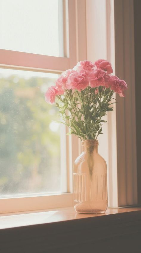 Flower in the vase by the window windowsill plant pink. AI generated Image by rawpixel. | premium image by rawpixel.com / Adjima Vase Of Flowers Photography, Flower In The Vase, Wallpaper Architecture, Pink Wallpaper Aesthetic, Aesthetic Android, Windowsill Plants, Flower Bouquet Vase, About Rose, Flower Window