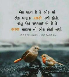 Love Attitude Quotes, Shayari Gujarati, Love Shayari Status, Love Attitude Status, Gujarati Status, Blog Quotes, Your Quotes, Whatsapp Status Videos, I Love You Images