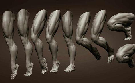 Male leg poses - ZBrushCentral Male Leg Drawing Reference, Leg Muscles Anatomy, Leg Pose, Injured Leg, Zbrush Anatomy, Leg Reference, Leg Anatomy, 남성 근육, Pose Reference Drawing