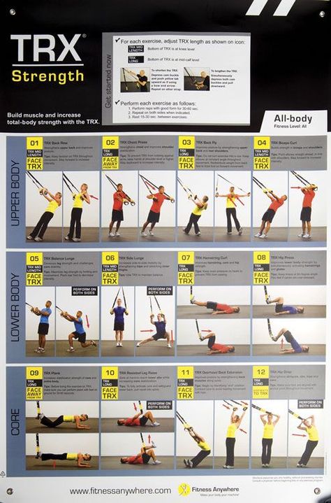 Trx Workout Plan, Suspension Workout, Trx Suspension Trainer, Trx Training, Strength Exercises, Suspension Trainer, Trx Workouts, Reformer Pilates, Suspension Training