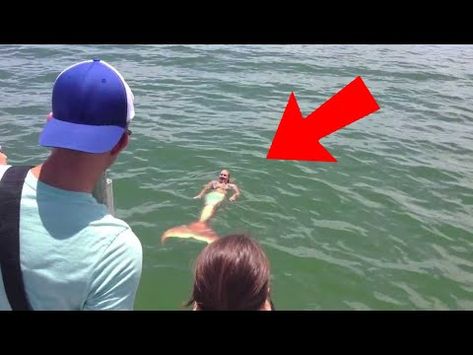 Couple finds Real Life Mermaid...Then This Happens.. - YouTube Mermaid Videos Real Life, Real Mermaids Photos, Real Mermaid Videos, Real Mermaids Found, Real Mermaids Found Alive, Real Mermaids Sightings, Mermaid Melissa, Real Life Mermaid Found, Mermaid Sightings