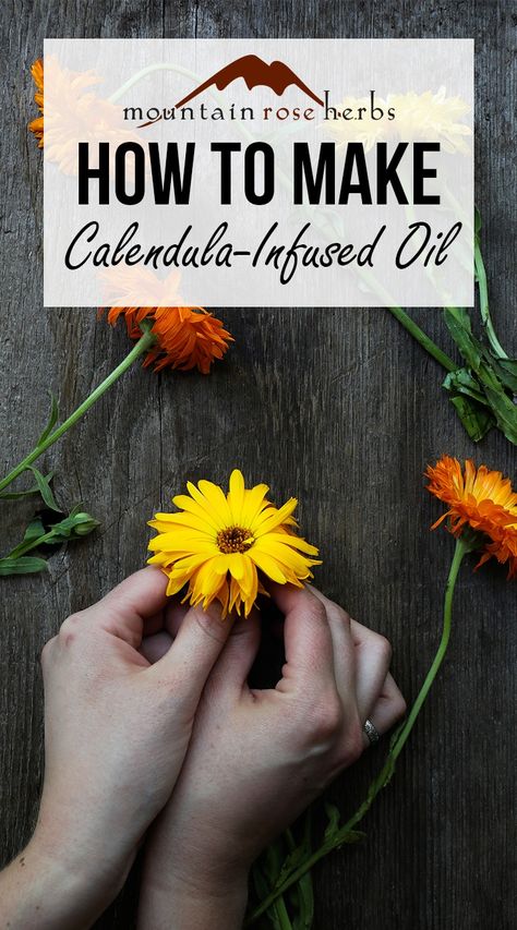 Calendula Uses, Diy Body Care Products, Calendula Infused Oil, Diy Vitamin C Serum, Natural Pain Relievers, Olive Oil Recipes, Harvesting Herbs, Diy Cream, Mountain Rose Herbs